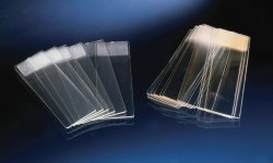 Microscope Slides, TC, sterile | Description : Microscope slides